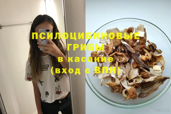 мет Армянск