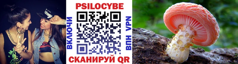 как найти наркотики  Урень  Галлюциногенные грибы Cubensis 